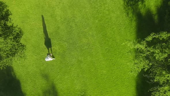 Overhead Shot of Woman in Love Walking Happily By Perfectly Green Lawn Nature alt