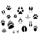 Animal Footprints, Vectors | GraphicRiver