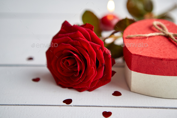 Fresh red rose flower on the white wooden table - Stock Photo - Images