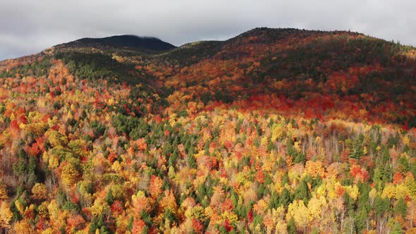 Aerial flythrough of Mountain Forests in Autumn with Fall Colors in New England