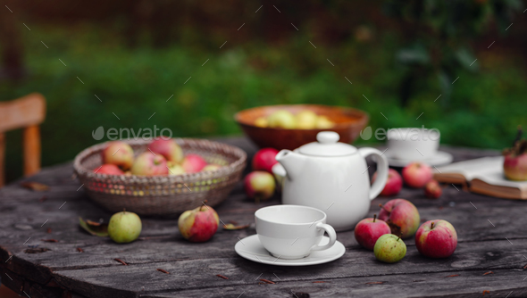 beautiful autumn still life in apple orchard - Stock Photo - Images