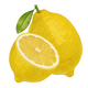 Lemon isolated on white background - PhotoDune Item for Sale