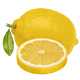 Lemon isolated on white background - PhotoDune Item for Sale