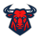 Bull Head Logo