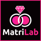 MatriLab - Ultimate Matchmaking Matrimony Platform