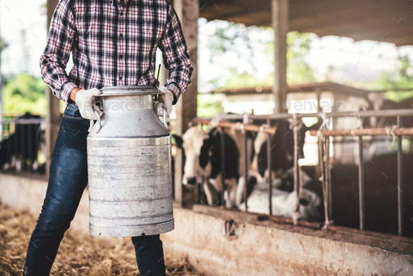 Asian young man holding milk canister working in small business dairy ...