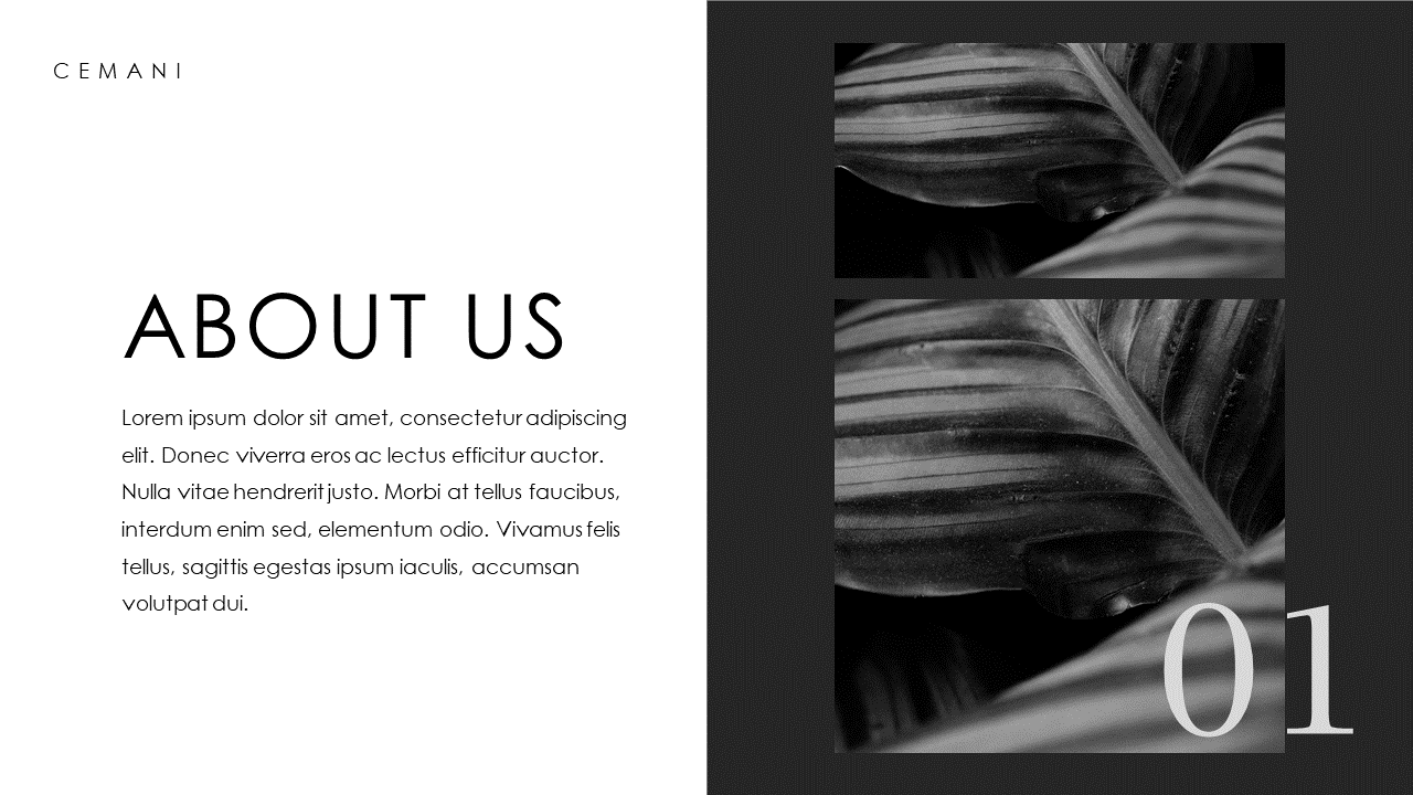 CEMANI - Creative Project Presentation Template, Presentation Templates
