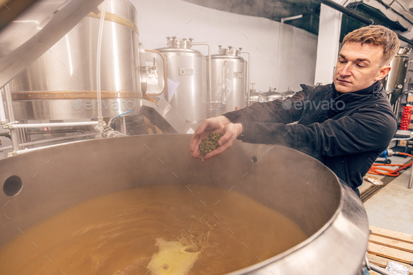 Process of making home beer from malt - Stock Photo - Images