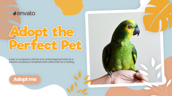 Adopt Pet Promo (MOGRT)