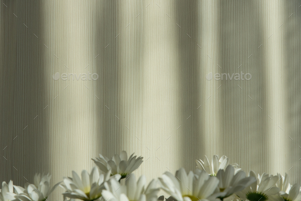 Bouquet of white chrysanthemums - Stock Photo - Images