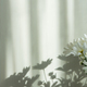 Bouquet of white chrysanthemums - PhotoDune Item for Sale