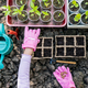 Top view of kid farmer hands planting seeds in pots.season gardening concept. - PhotoDune Item for Sale