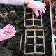 Close up of kid farmer hands planting seeds in pots. Preparing seedling for new growth in soil - PhotoDune Item for Sale