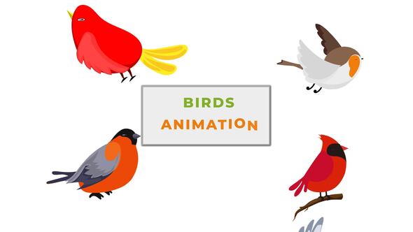 Small  Sparrow Birds Animation scene