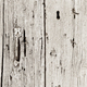 Wooden door texture - PhotoDune Item for Sale