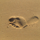 Footprint on sand - PhotoDune Item for Sale