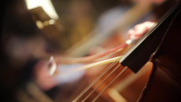 Person performing on a cello