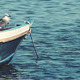 A seagull on a boat - PhotoDune Item for Sale