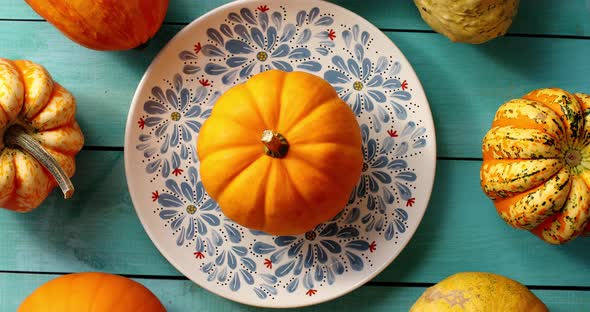 Pumpkins Laid on Plate and Near alt