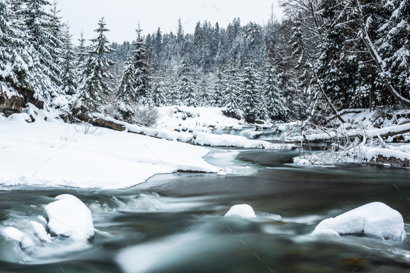 Wild river in snow covered forest, nature winter scenery - Stock Photo - Images