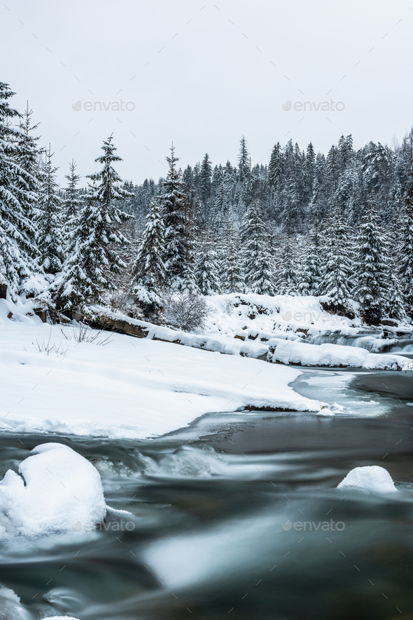 Snow covered trees and wild river in mountains at winter - Stock Photo - Images