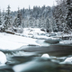 Wild river in snow covered forest, nature winter scenery - PhotoDune Item for Sale