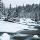 Snow covered trees and wild river in mountains at winter - PhotoDune Item for Sale