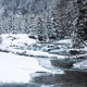 Wild river in snowy forest at winter - PhotoDune Item for Sale