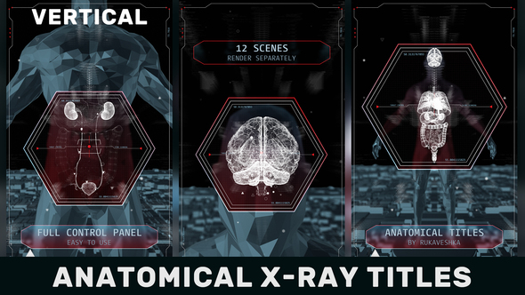Anatomical X-Ray Titles Vertical