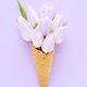 Lilac tulips in a waffle ice cream cone on a lilac background. Summer concept - PhotoDune Item for Sale