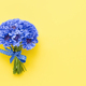 Blue cornflower bouquet decorated with ribbon on a yellow background. Greeting card - PhotoDune Item for Sale