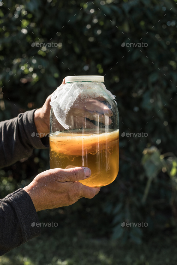 Kombucha tea are Source of probiotics, High in antioxidants and