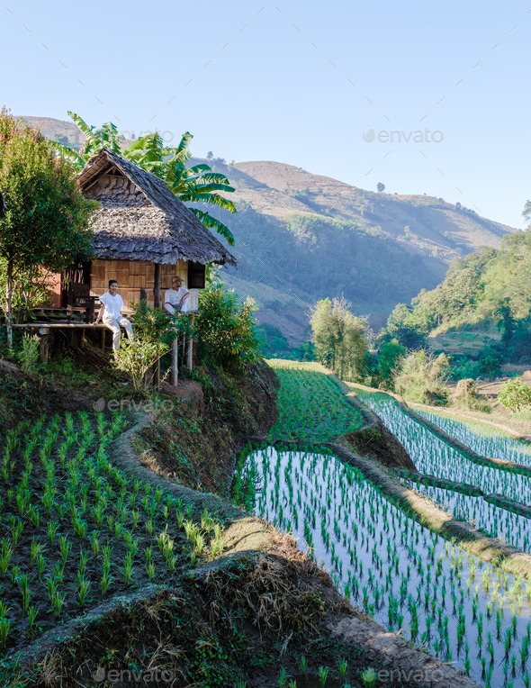 Couple Visit A Rice Farm With Rice Fields In Northern Thailandrice