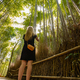 Woman standing against bamboo plants in forest - PhotoDune Item for Sale