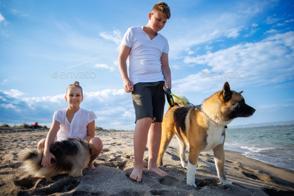 Boy and his sister in light clothes walk and relax with dogs: Pomeranian and Akita Inu