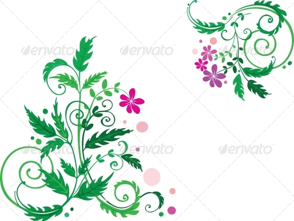 Decorative Flowers - Flowers & Plants Nature