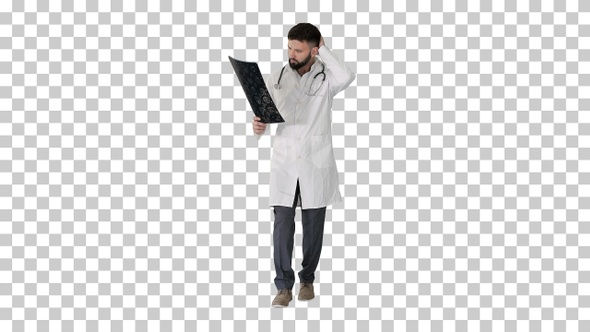 Male turk physician walking and reviewing, Alpha Channel alt