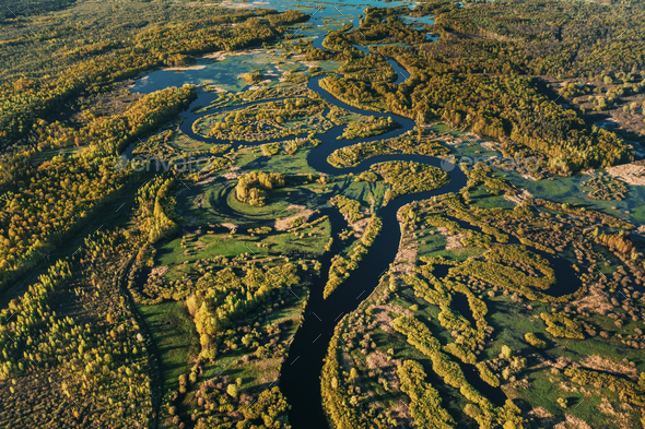 Aerial View Green Forest Woods And River Landscape In Sunny Spring Summer Day. Top View Of Nature - Stock Photo - Images