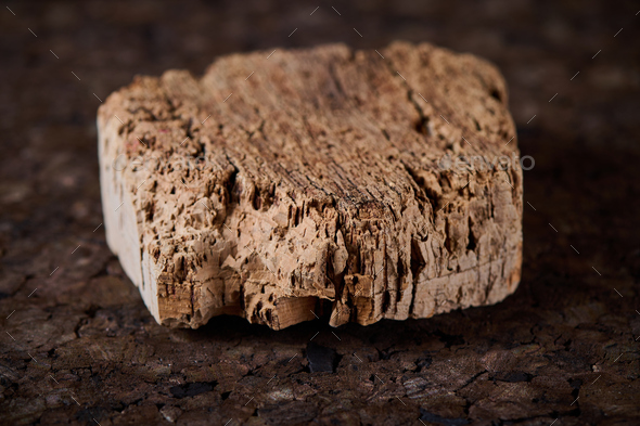 piece of cork tree bark closeup. - Stock Photo - Images