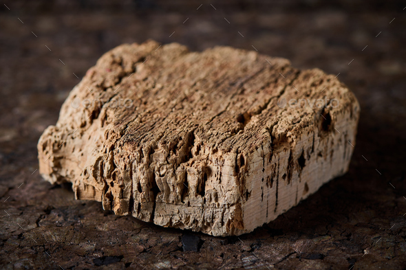piece of cork tree bark closeup. - Stock Photo - Images