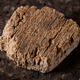 piece of cork tree bark closeup. - PhotoDune Item for Sale