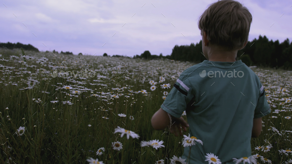 The boy runs through the meadow with flowers. CREATIVE. Rear view of a child running through a field