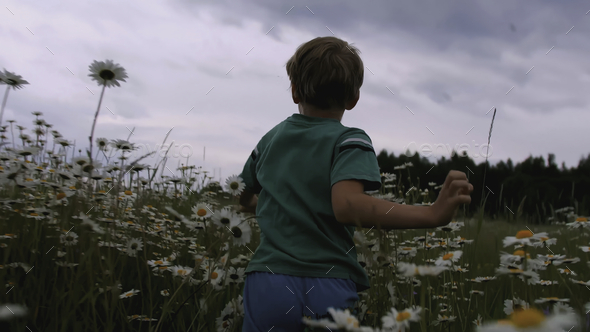The boy runs through the meadow with flowers. CREATIVE. Rear view of a child running through a field