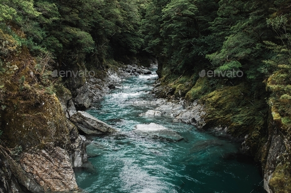 Beautiful shot of a rocky river with a strong current surrounded by trees in a forest