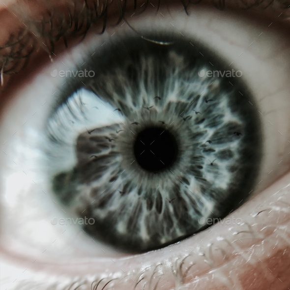 Closeup of a blue human eye with birds reflected on the retina - Stock Photo - Images