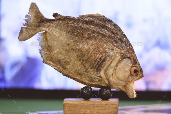 Statue of an edible fish with an open mouth on a blurred background