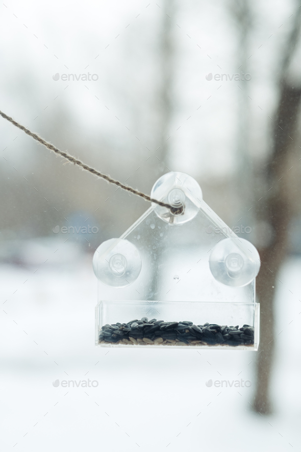 empty transparent bird feeder with sunflower seeds on the window, close-up