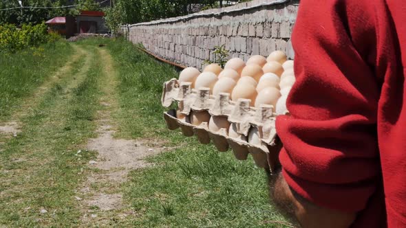 a Male Farmer Carries From the Chicken Coop Collected Fresh Eggs From the Nest of Hens