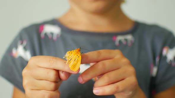 Child Playing with a Butterfly with a Broken Wing