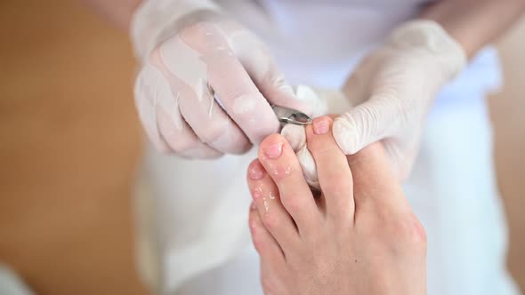 Professional Medical Pedicure Procedure Using Nail Clippers Instrument. Patient Visiting Chiropodist